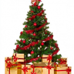 A Holiday Gift For You!